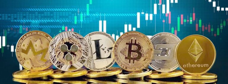 Cryptocurrency Investors, Bitcoin investor